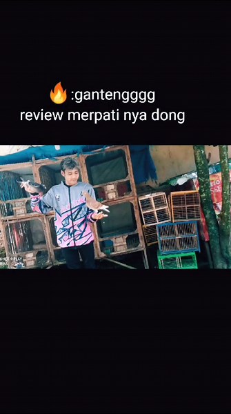 bismilah fyp:)#fypシ #merpatibalapindonesia #sukoharjopunyacerita #bantufollow #salammerpatibalapindonesi #kuterimakamu #fypシ