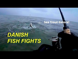 Outstanding Sea Trout Fishing in Denmark I POV Fish Fights!