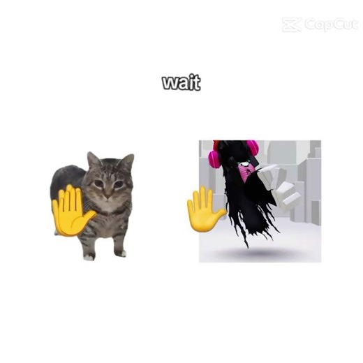 15 de março de 2026