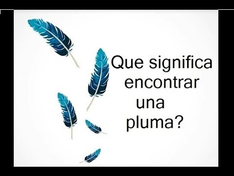 Que significa encontrar una pluma ???