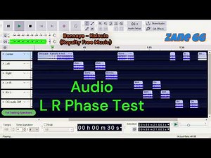 L R Phase Test