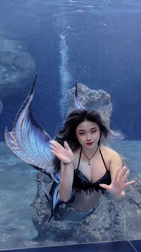 Underwater Mermaid Experience in an Aquarium