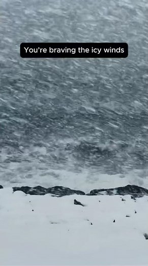 Vivaldi Winter I | Dramatic Baroque Tension ❄️