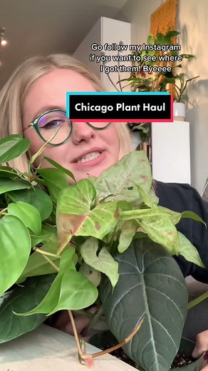 Nicole Larson on TikTok