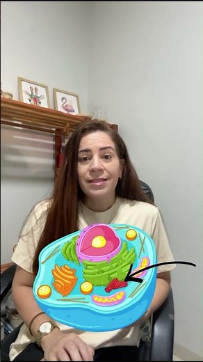 cell organelles