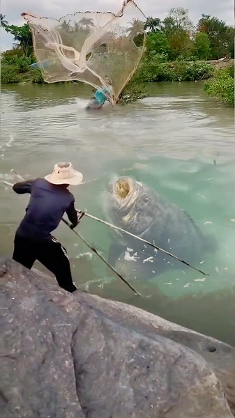 Dipancing dua arah!! Ikan kerapu tidak bisa kabur #grouper #fishing #amazing