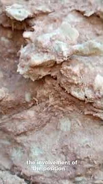 The Salt Range Formation (600 Million Years Old!) | Khewra Gorge, Pakistan