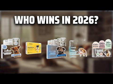 The Top 5 Best Dog DNA Test in 2026 - Must Watch Before Buying!
