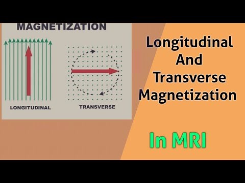 longitudinal and transverse magnetization in mri | longitudinal and transverse magnetization in mri
