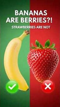Bananas Are Berries, But Strawberries Aren’t!