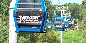 Saluda Skyride opens to the public at Riverbanks Zoo and Garden