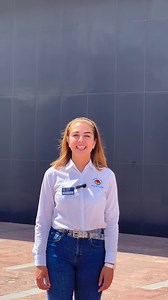 ✨Tres razones por las que deberías venir a Poema del Mar 1️⃣ Tenemos la ventana curva más grande del mundo 2️⃣ Somos uno de los mejores acuarios de toda Europa 3️⃣ En Poema del Mar conviven más de 500 especies ¡Tienes que venir a vivir esta experiencia! 🥰 | Poema del Mar