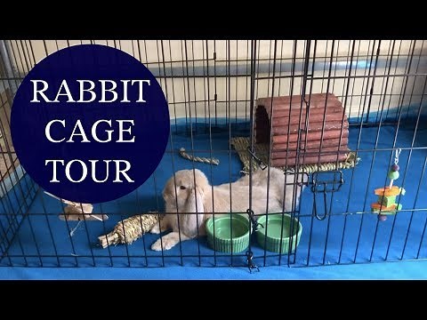 Rabbit Cage Tour