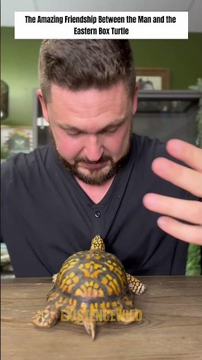 The Amazing Friendship Between the Man and the Eastern Box Turtle