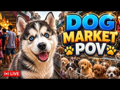 Daily Dog Market Live 🐾 Cute Puppy POV Walk