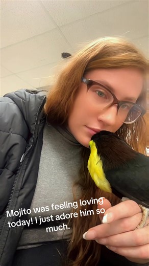 Mojito the Loving Toucan: A Heartwarming Pet Moment