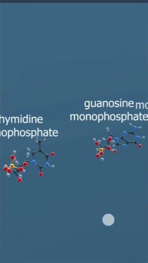 DNA की संरचना: जीवन का आधार | DNA Structure Explained (Hindi) #education #class12biology #neet