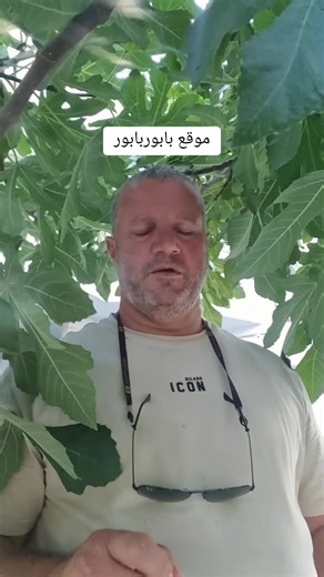 موقع الشيخ ابو امحمد ב-TikTok