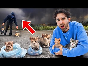 Someone Is ABANDONING Kittens In My Neighborhood (CAUGHT ON CAMERA)