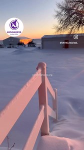 Winter is a beautiful season, but it brings harsh realities, especially for senior animals. When the cold sets in, hay becomes expensive, and sadly, many senior donkeys are abandoned, left behind, or given away to those unequipped to meet their special needs. This isn’t just a hypothetical—it’s a painful truth we’ve seen firsthand at Longhopes. But for our donkeys, winter isn’t a season of fear. Because of YOU and our incredible team, they are cared for, loved, and safe every day, no matter what