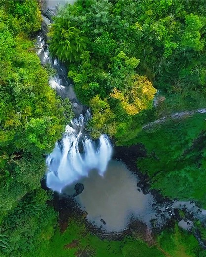 Discover Bonga: Where Coffee and Culture Thrive