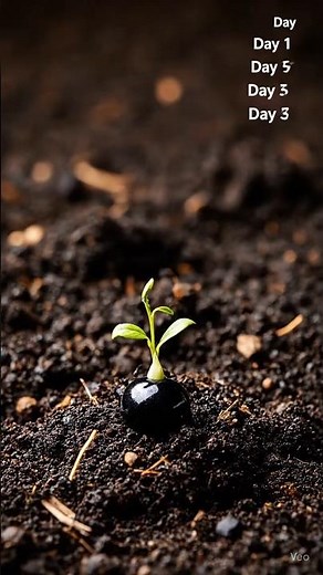 Blueberry Growth in 8 Seconds! Seed to Harvest Timelapse 🫐🌱 #fruit #edit #animation #farming #ai