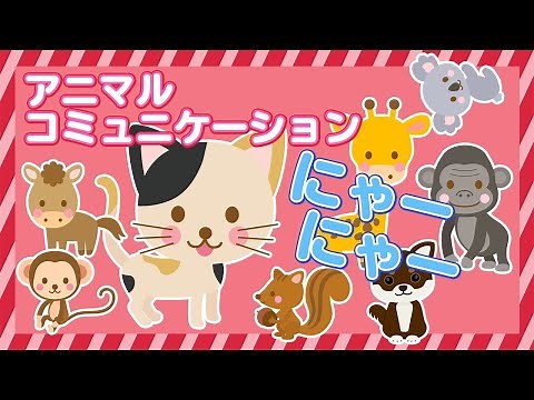 【動物と話す】動物の声ってどう聞こえるの？？（アニマルコミュニケーション）