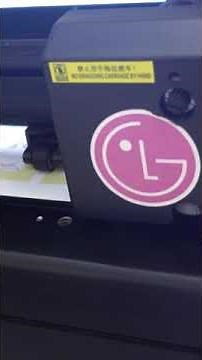 Epson L1300 / L1800 Vinyl Sticker Printing & Cutting