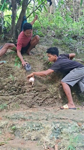 catch wild animals on the riverbank