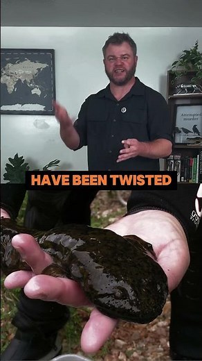 The Hellbender: America’s Underworld Salamander 😈