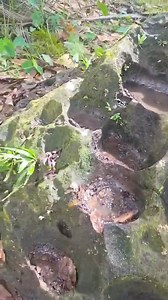 Hindi nila napansin ang apat na hakbang na marka sa batong ito! #fblifestyle | The Treasure Hunters