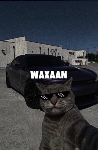 ‏TikTok · ZALO FF