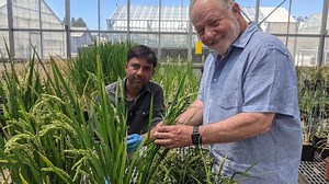 UC Davis Innovation Awards for 2023 Honor Contributions That Benefit Society