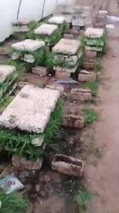 2.6K views · 21 reactions | 01003677232 01010766047  متاح حجز...