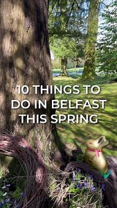 11K views · 86 reactions | Check out these top 10 must-do activities...