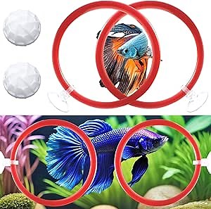 Betta Fish Toys - 4 Training Rings & 2 Bio Filter Balls, Beta Exercise Loop Toys and Nitrifying Balls Set, Betta Fish Tank Accessories Feeding Ring for Small Tank Decor Aquarium Water Conditioner
