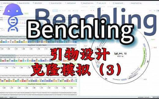 如何使用Benchling在线进行引物设计和克隆模拟（3）