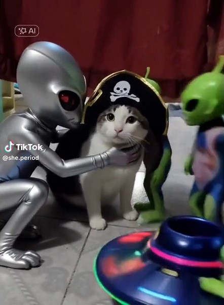 Hilarious Alien Pet Abduction Video Experience
