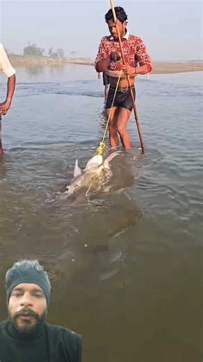 Big River Monster Fish Catch 😱🔥#fishing#viral#fish#village#training#shorts