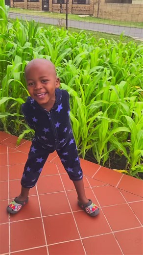 Exploring Zulu Traditions: A Cultural Insight