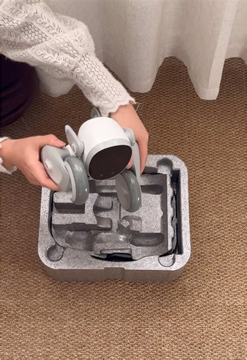 Unboxing the Loona PetBot Laser Game Experience