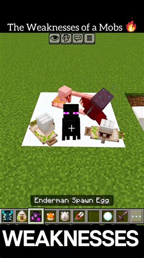 The Weaknesses of a Mob🤯🔥 #equipou #minecraft
