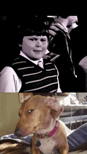 Oops! Did Not See That Coming 😅 | Short Fails #funnyshorts