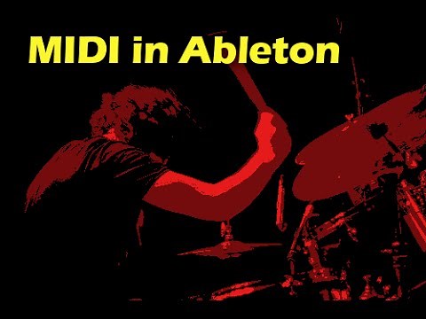 Using Groove Monkee Free Midi with Ableton Live