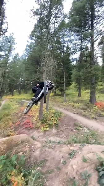 Bike whip rules and safety tips