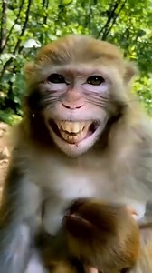 #reelsvideoシ #trendingreel #assamesefunny #trendingassam #viralassam #comedy | X lover assam