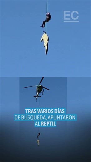 Cocodrilo condenado