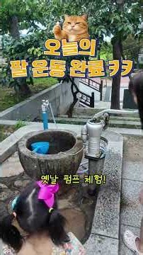 속초시립박물관｜속초 아이와 가볼 만한 곳! #여름방학