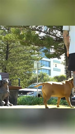 They matching everything even reaction #matching #twins… | Magician87