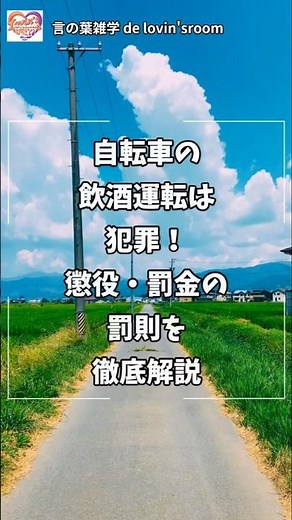 【知らないと危険】自転車の飲酒運転は犯罪！懲役・罰金の罰則を解説【2024年改正】｜3年以下の懲役または50万円以下の罰金｜罰せられるのは運転者だけではない｜飲んだら乗らない｜スマホを見ながら乗らない